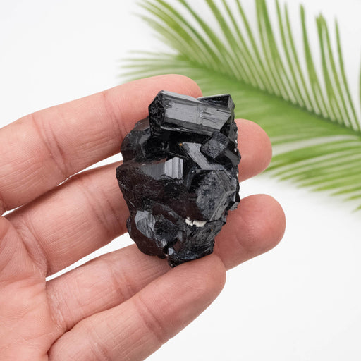 Black Tourmaline 67.53 g 34x51mm - InnerVision Crystals