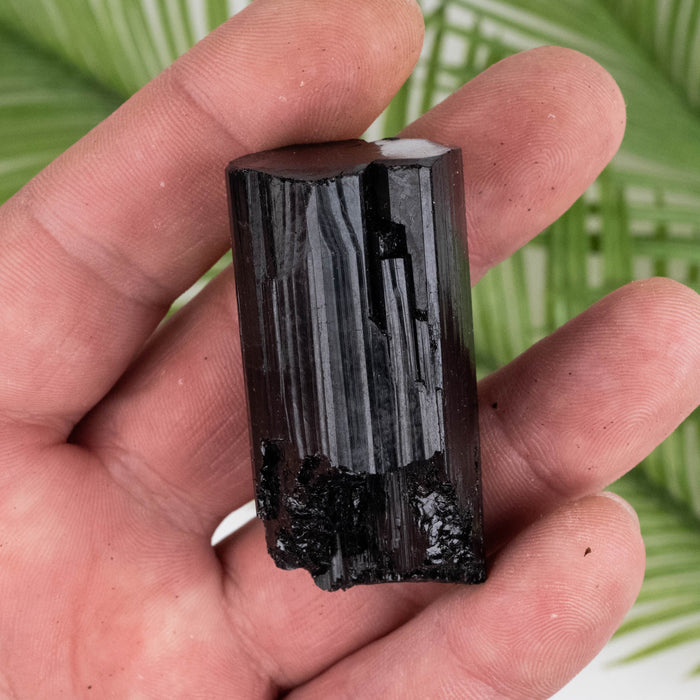 Black Tourmaline 68 g 50x25mm - InnerVision Crystals