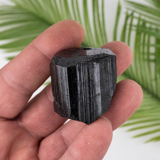 Black Tourmaline 69 g 34x34mm - InnerVision Crystals