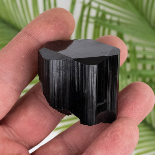 Black Tourmaline 69 g 36x34mm - InnerVision Crystals