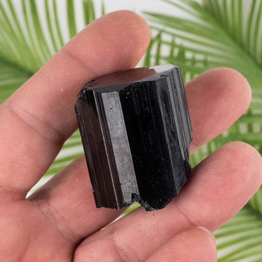 Black Tourmaline 70 g 37x32mm - InnerVision Crystals