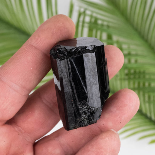 Black Tourmaline 70 g 44x28mm - InnerVision Crystals