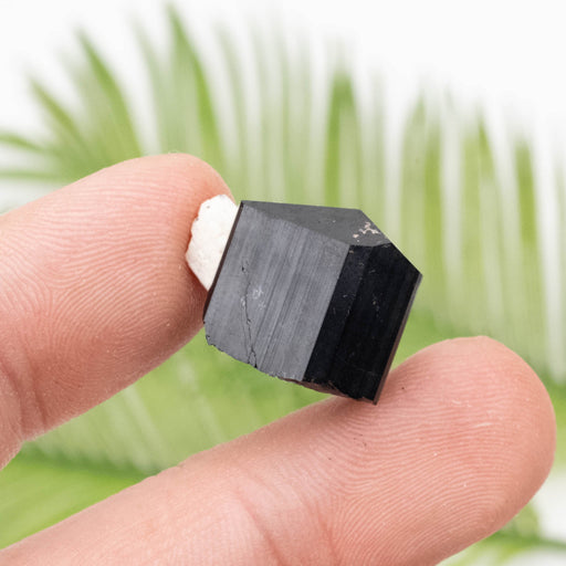 Black Tourmaline 7.03 g 15x18mm - InnerVision Crystals