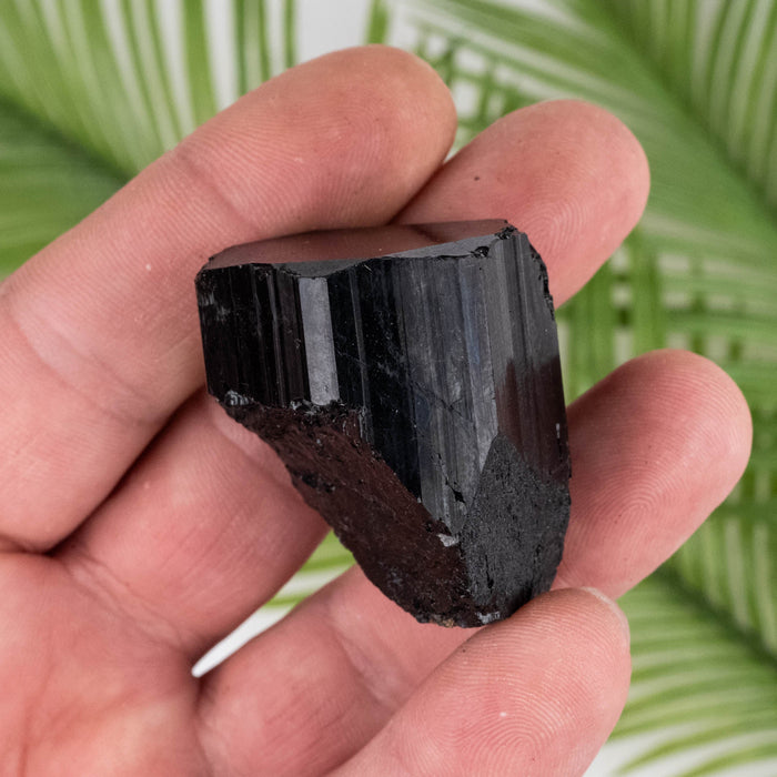 Black Tourmaline 73 g 39x32mm - InnerVision Crystals