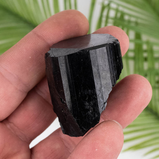 Black Tourmaline 73 g 39x32mm - InnerVision Crystals