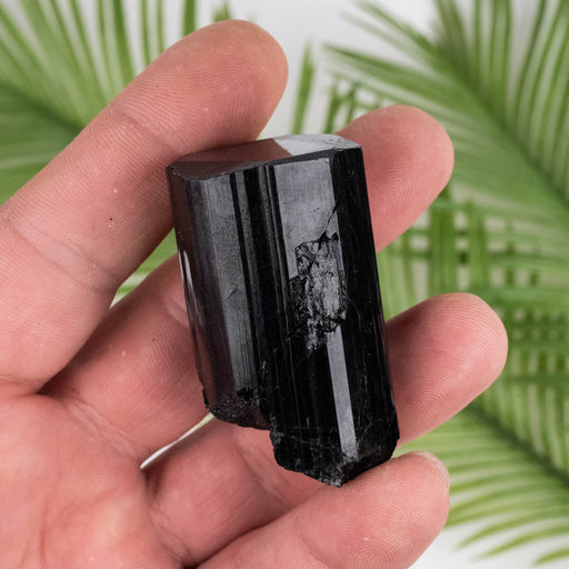Black Tourmaline 73 g 49x28mm - InnerVision Crystals