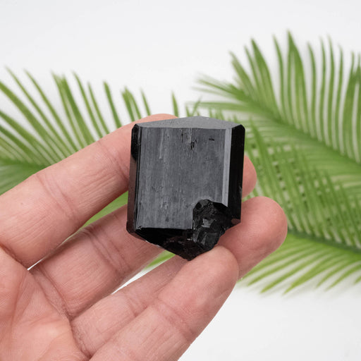 Black Tourmaline 73.42 g 43x33mm - InnerVision Crystals