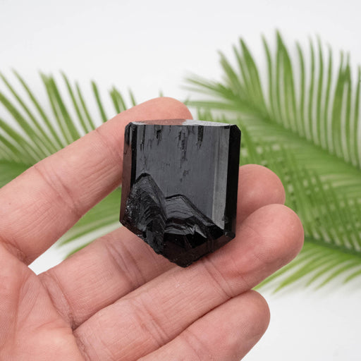 Black Tourmaline 73.42 g 43x33mm - InnerVision Crystals
