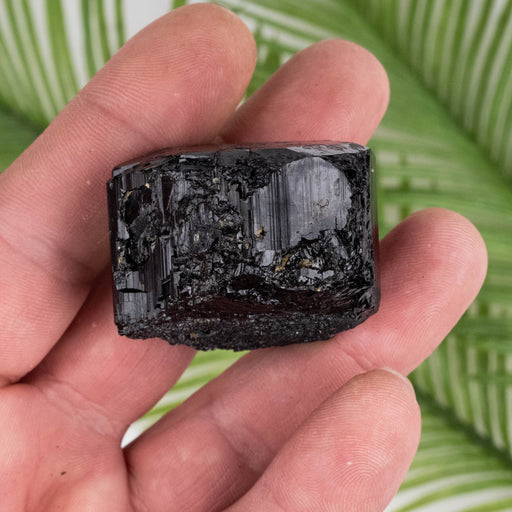 Black Tourmaline 75 g 39x31mm - InnerVision Crystals