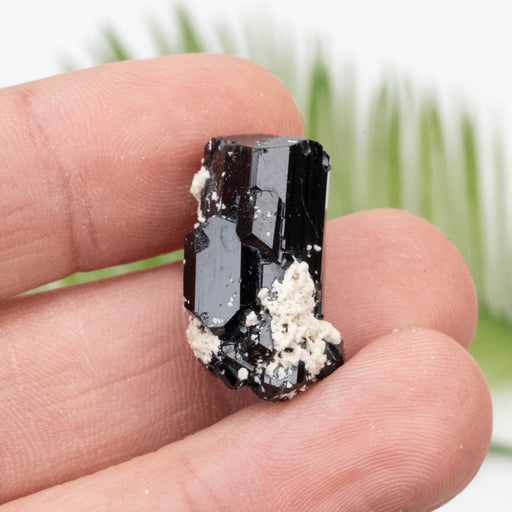 Black Tourmaline 7.63 g 25x13mm - InnerVision Crystals