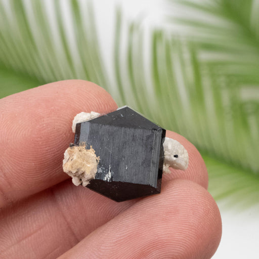 Black Tourmaline 7.73 g 17x21mm - InnerVision Crystals