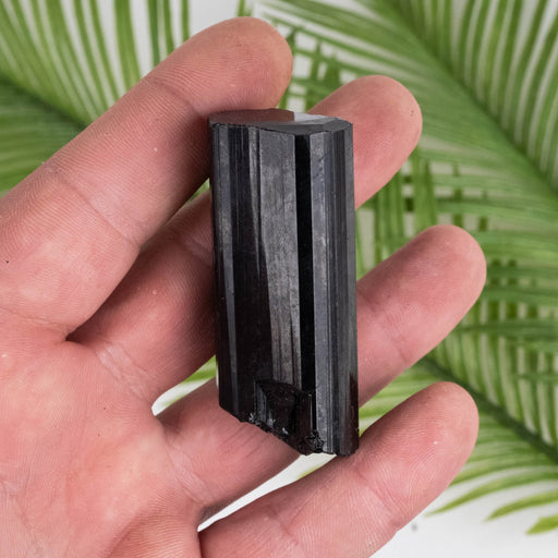 Black Tourmaline 81 g 61x26mm - InnerVision Crystals