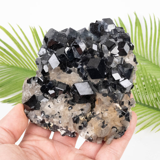 Black Tourmaline 848 g 70x105mm on Matrix + Smoky Quartz - InnerVision Crystals