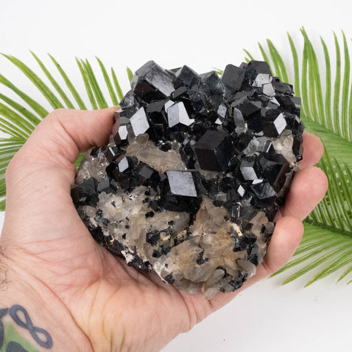 Black Tourmaline 848 g 70x105mm on Matrix + Smoky Quartz - InnerVision Crystals