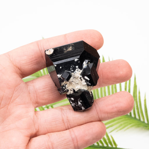 Black Tourmaline 85 g 40x49mm - InnerVision Crystals