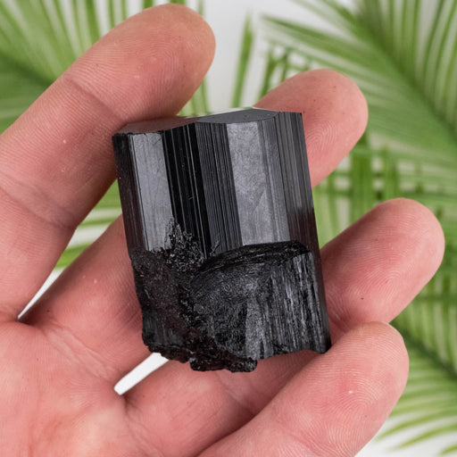 Black Tourmaline 85 g 47x33mm - InnerVision Crystals