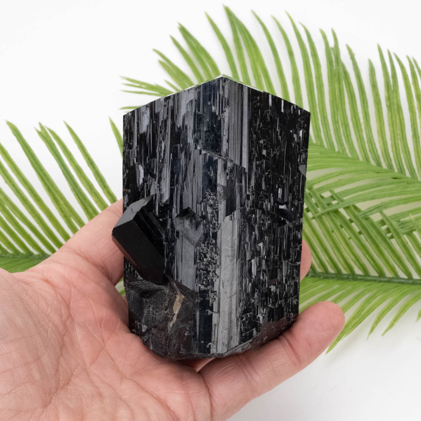 Black Tourmaline 855 g 104x66mm - InnerVision Crystals