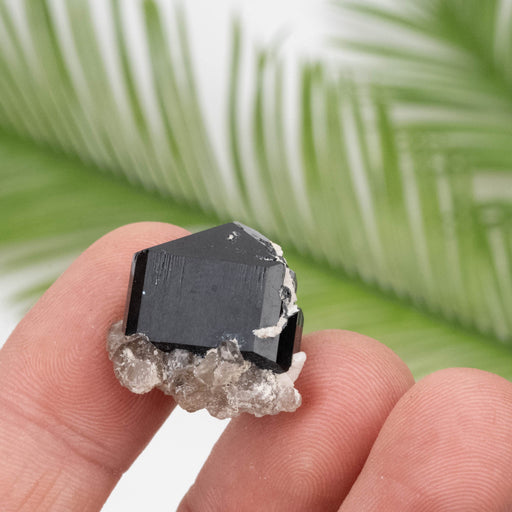 Black Tourmaline 8.64 g 20x17mm - InnerVision Crystals