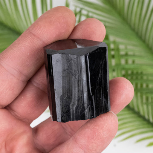 Black Tourmaline 88 g 40x34mm - InnerVision Crystals