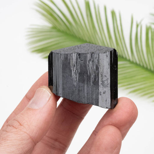 Black Tourmaline 89.87 g 38x42mm - InnerVision Crystals