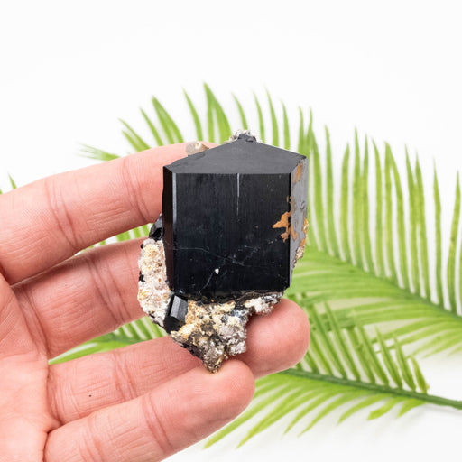 Black Tourmaline 90 g 59x42mm - InnerVision Crystals