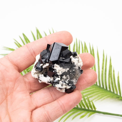 Black Tourmaline 91 g 46x52mm - InnerVision Crystals