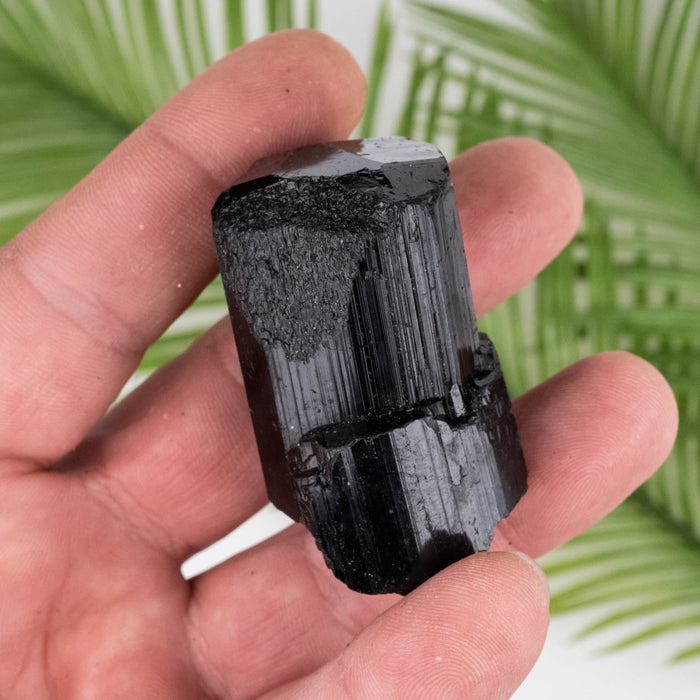 Black Tourmaline 92 g 51x32mm - InnerVision Crystals