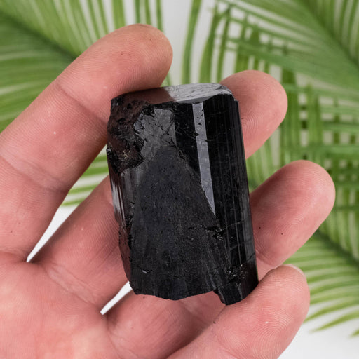 Black Tourmaline 94 g 49x31mm - InnerVision Crystals