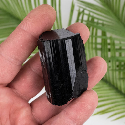 Black Tourmaline 94 g 49x31mm - InnerVision Crystals