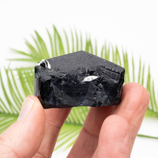 Black Tourmaline 95 g 33x48mm - InnerVision Crystals