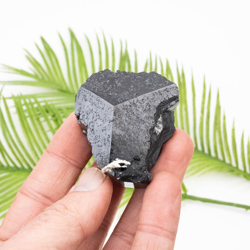 Black Tourmaline 95 g 33x48mm - InnerVision Crystals