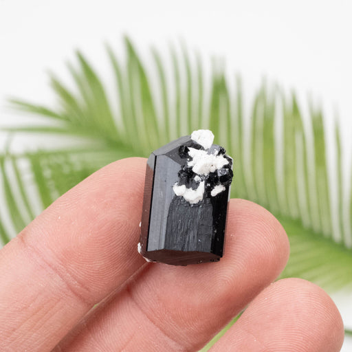 Black Tourmaline 9.97 g 23x15mm - InnerVision Crystals