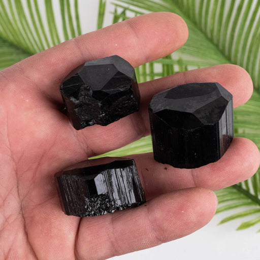 Black Tourmaline Lot 102 g 19mm-26mm - InnerVision Crystals