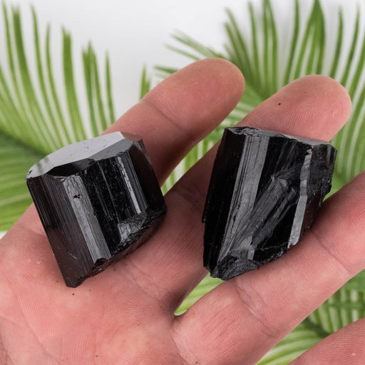 Black Tourmaline Lot 112 g 32mm-36mm - InnerVision Crystals