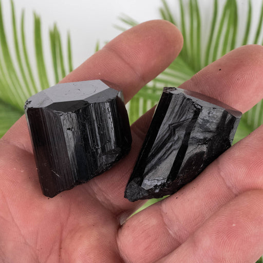 Black Tourmaline Lot 112 g 32mm-36mm - InnerVision Crystals