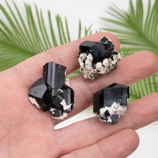 Black Tourmaline Lot 46.82 g 20mm - 34mm - InnerVision Crystals