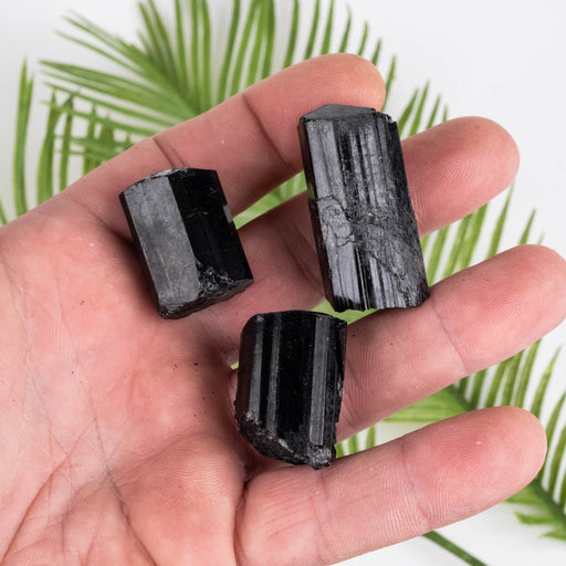 Black Tourmaline Lot 70 g 27mm-38mm - InnerVision Crystals