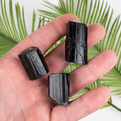 Black Tourmaline Lot 70 g 27mm-38mm - InnerVision Crystals