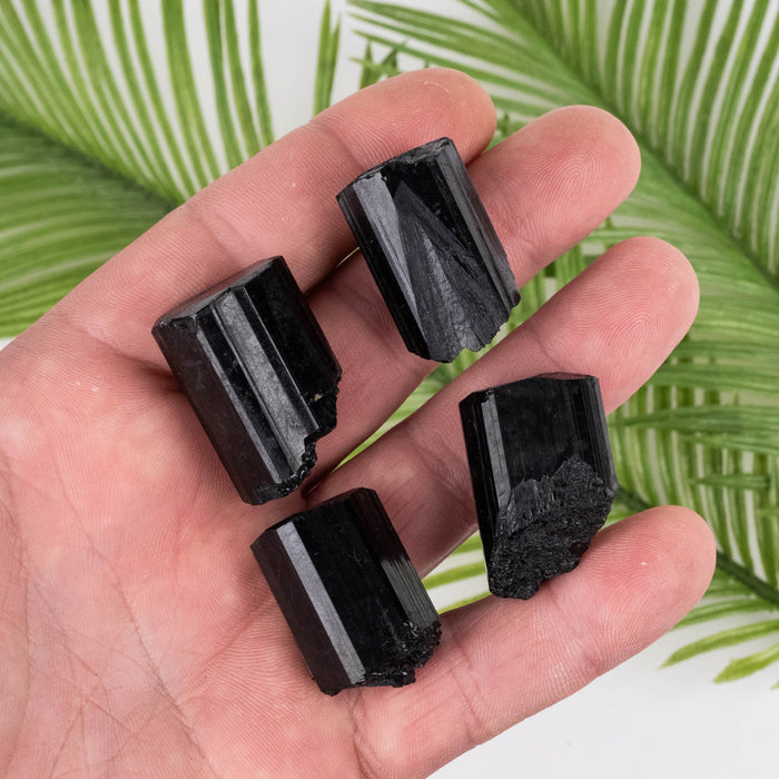 Black Tourmaline Lot 75 g 28mm-30mm - InnerVision Crystals