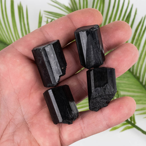 Black Tourmaline Lot 75 g 28mm-30mm - InnerVision Crystals