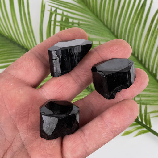 Black Tourmaline Lot 76 g 25mm-34mm - InnerVision Crystals