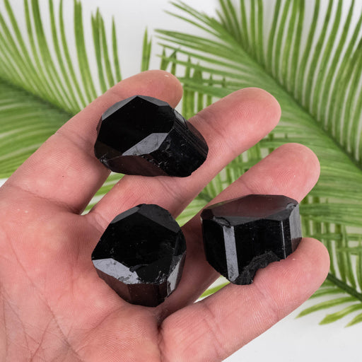 Black Tourmaline Lot 76 g 25mm-34mm - InnerVision Crystals