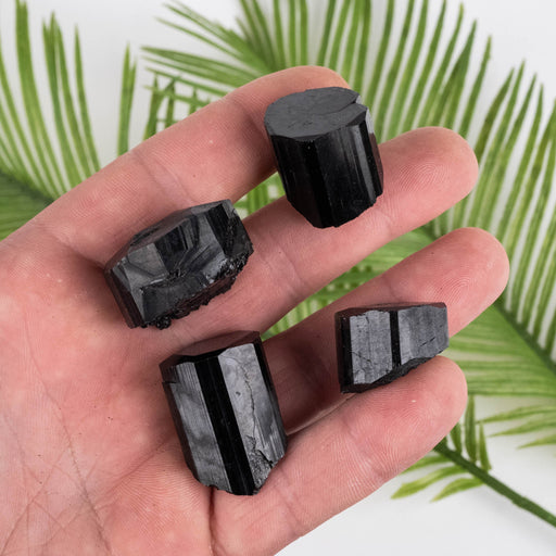Black Tourmaline Lot 79 g 15mm-28mm - InnerVision Crystals