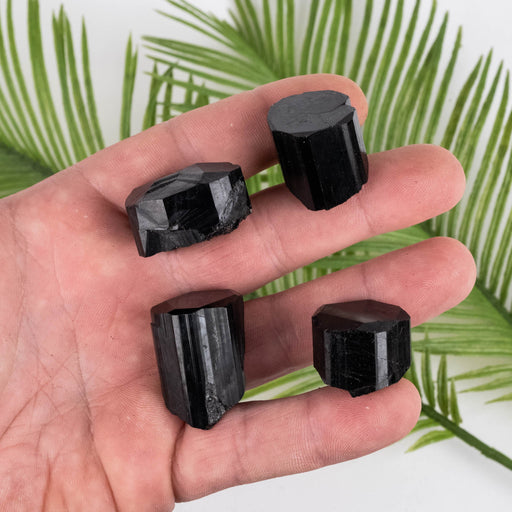 Black Tourmaline Lot 79 g 15mm-28mm - InnerVision Crystals
