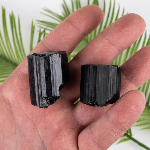 Black Tourmaline Lot 80 g 26mm-36mm - InnerVision Crystals