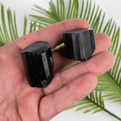 Black Tourmaline Lot 80 g 26mm-36mm - InnerVision Crystals