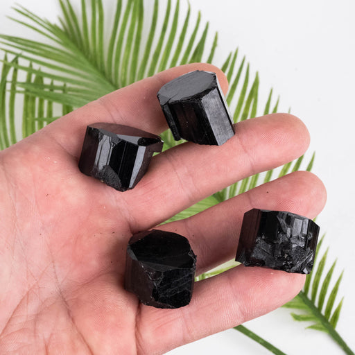 Black Tourmaline Lot 81 g 17mm-20mm - InnerVision Crystals