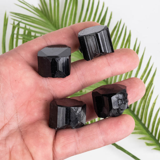 Black Tourmaline Lot 81 g 17mm-20mm - InnerVision Crystals