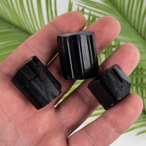 Black Tourmaline Lot 86 g 30mm-32mm - InnerVision Crystals
