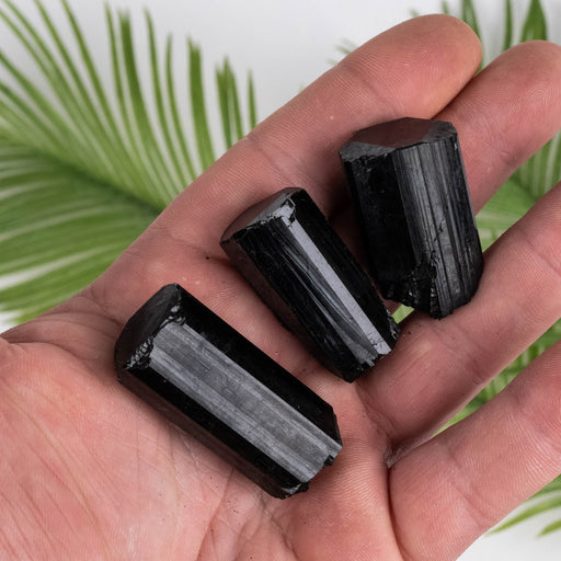 Black Tourmaline Lot 86 g 34mm-43mm - InnerVision Crystals